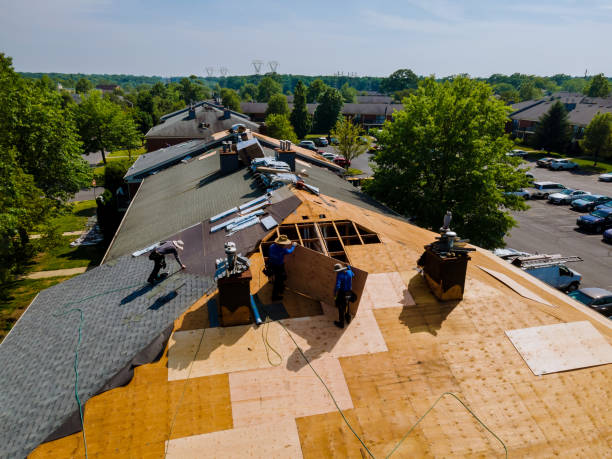 Trusted Flat Roof Repair service in Red Creek, NY - Brentwood Metal Roofing